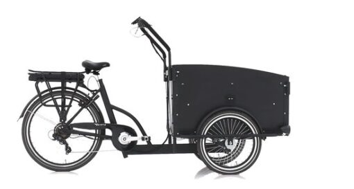 Troy Elektrische Bakfiets - Fiets (elektrisch) - Unisex - Zwart - 20 Inch